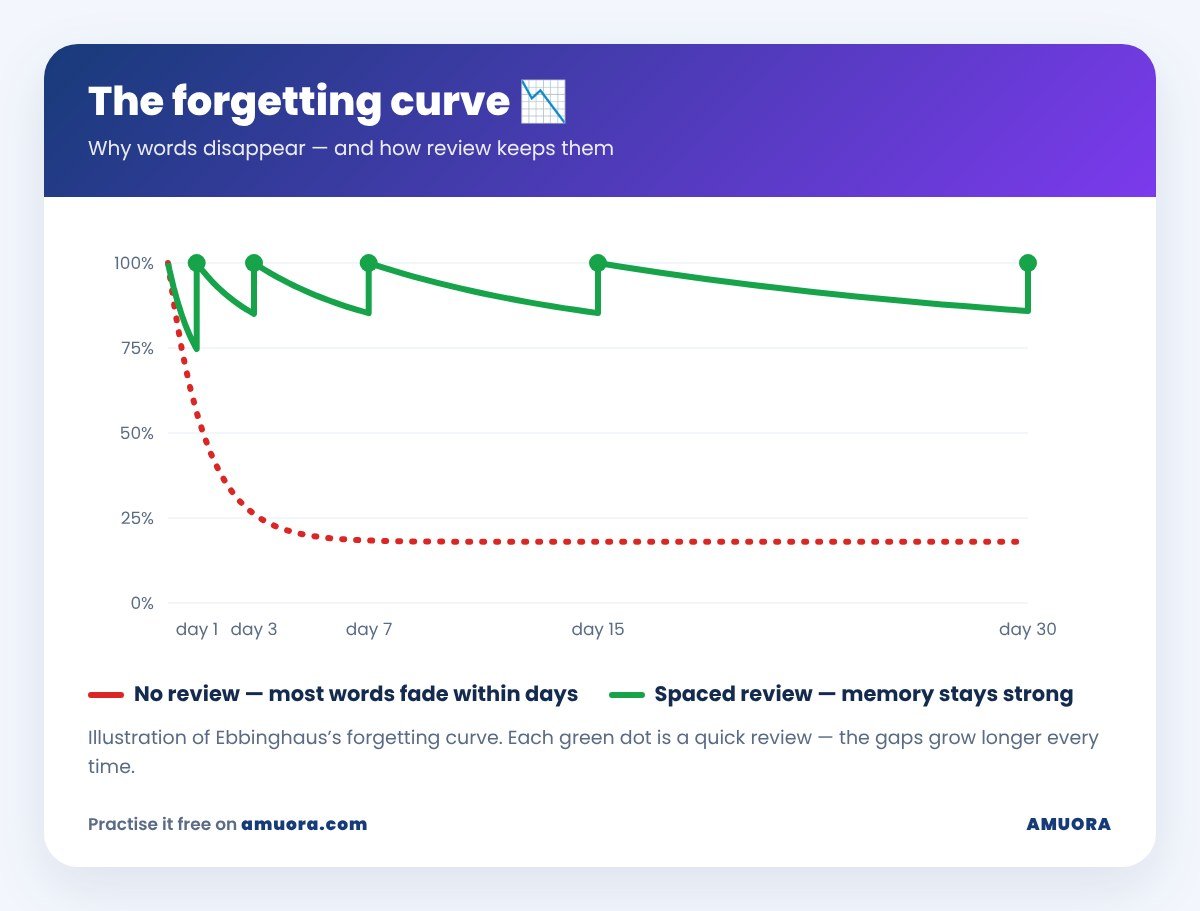 The forgetting curve 📉